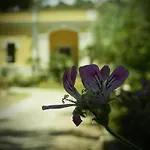 Gasthuis Dimora Relais Excelsa