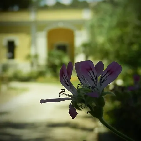 Pensionat Dimora Relais Excelsa