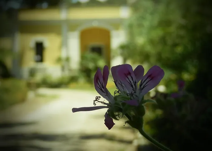 בית הארחה Dimora Relais Excelsa